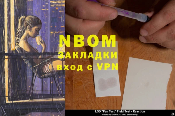 индика Козельск