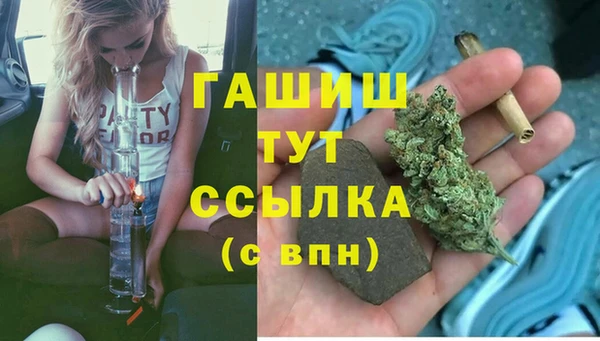 индика Козельск