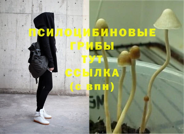 марки nbome Коряжма