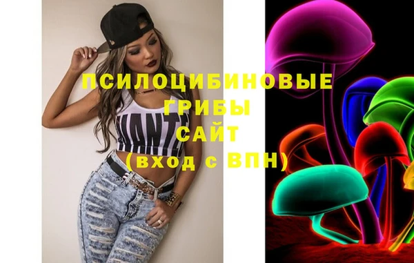 spice Корсаков