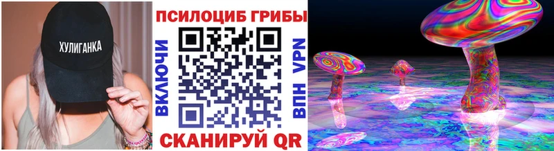 Псилоцибиновые грибы Psilocybine cubensis  наркошоп  Волгодонск 