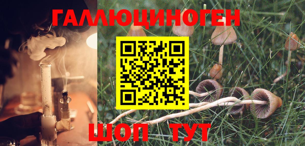 Галлюциногенные грибы ЛСД  Галлюциногенные грибы Psilocybine cubensis  Вход с VPN  Волгодонск 
