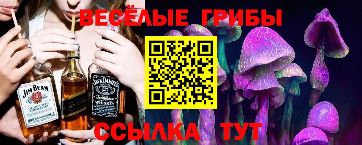 Псилоцибиновые грибы мицелий Волгодонск